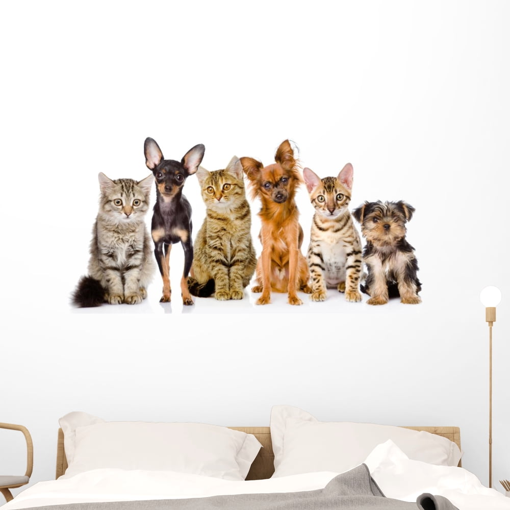Group Cats and Dogs Wall Mural Decal by Wallmonkeys Vinyl Peel and