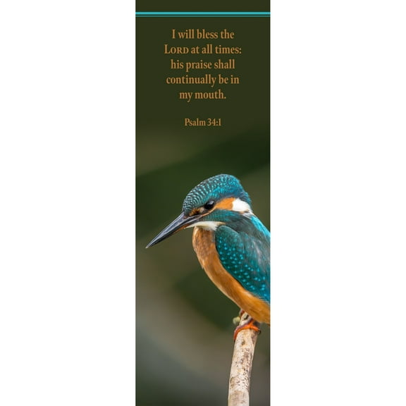 B&H Publishing  I Will Bless The LORD At All Times Bookmark - Psalm 34-1 KJV - Pack of 25