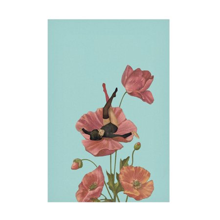 Trademark Fine Art Maarten Leon Colourful Dreamer Canvas Wall Art