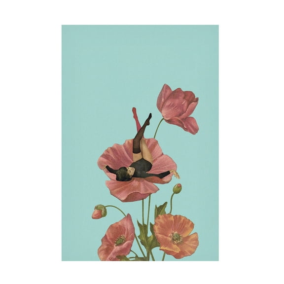 Trademark Fine Art Maarten Leon Colourful Dreamer Canvas Wall Art