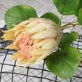 thumbnail image 3 of Coofit Artificial Flower Lifelike Protea Flower Arrangement Vase Flower for Wedding, 3 of 5