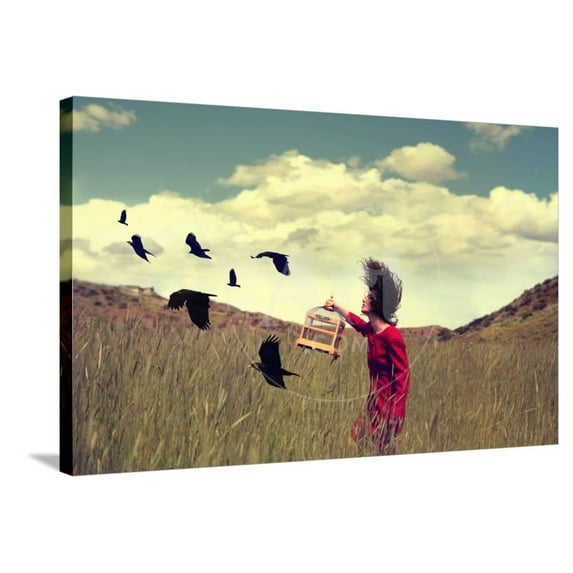 A Girl Walking through a Field with a Flock of Ravens or Crows Toned with a Retro Vintage Instagram, Figurative Stretched Canvas Wall Art by Annette Shaff Sold by Art.Com