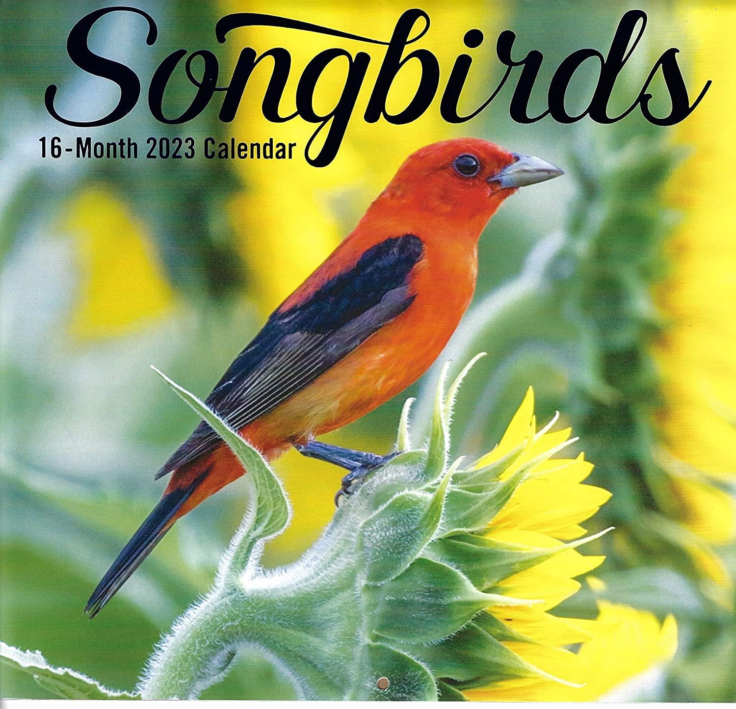 2023-songbirds-full-size-wall-calendar-for-planning-scheduling-and