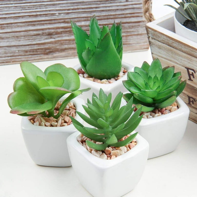 Mini Artificial Succulent Plant Fake Foliage Plastic Container Garden Home Decor Mini Artificial Succulent Plant Fake Foliage Plastic Container Garden Home Decor