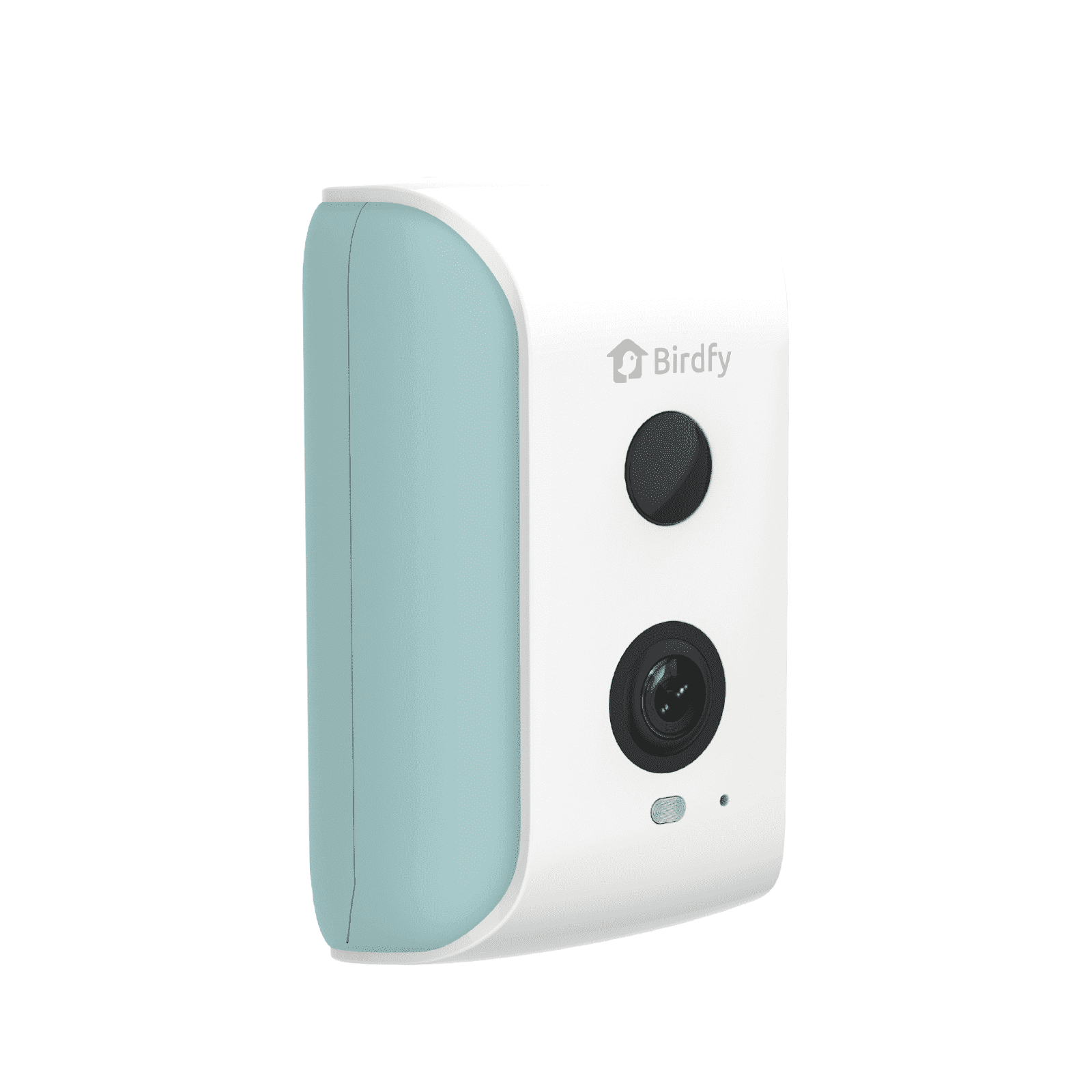 Birdfy Smart Bird Feeder Camera for Wild Bird Watching & Recording – Wall & Pole Mount Compatible, Cyan
