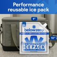 thumbnail image 2 of Packs de Hielo Reutilizables Bajo Cero Medianos 10x9x2 cm (Paquete de 4), 2 of 7