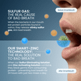 thumbnail image 3 of SmartMouth Advanced Liposomal Vitamin C Mouthwash, Zinc Activated Dual-Solution, Instant Fresh Breath, Citrus Mint, Adult, 16 fl oz, 3 of 8
