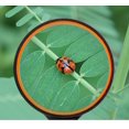 thumbnail image 3 of Lupa de lectura portátil 10X: lupa grande de 100 mm con mango suave antideslizante para leer periódicos, observar insectos y pasatiempos, ciencia en el aula, 3 of 5