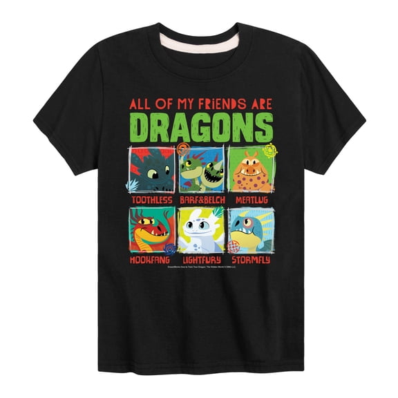 How to Train Your Dragon - All My Friends Are Dragons - Toddler & Youth Short Sleeve Graphic T-Shirt