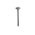 thumbnail image 3 of DNJ IV861 Intake Valve Fits Cars & Trucks 09-13 BMW 335d X5 3.0L L6 DOHC 24v, 3 of 5