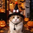 thumbnail image 3 of Pet Halloween Witch Hat, Mini Pointed Dog and Cat Costume with Bow, Spooky Fuzzy Ball Headwear with Chin Strap for Holiday Photos, 3 of 3