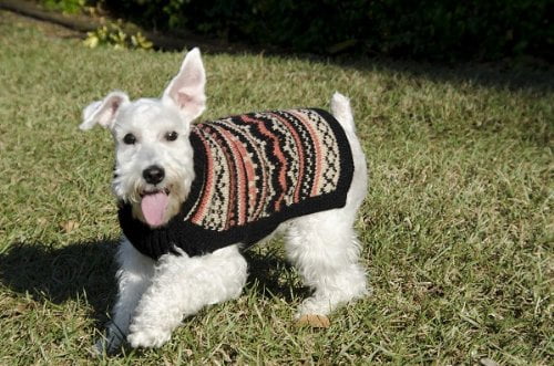 alpaca wool dog sweaters