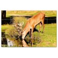 thumbnail image 1 of Deer Ceramic Tile Mural Kitchen Backsplash Bathroom Shower, 402756-M64, 1 of 3