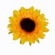 thumbnail image 4 of Cabeza de girasol artificial Simulación de cabezas de flores Ramo de fiesta de boda Accesorios de bricolaje, 24 piezas, Amarillo anaranjado, 9cm sidaley HA7119-06B, 4 of 6
