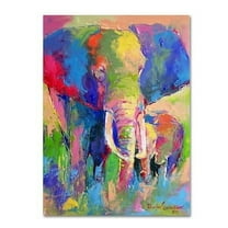 Richard Wallich 'Elephant 1' Canvas Art