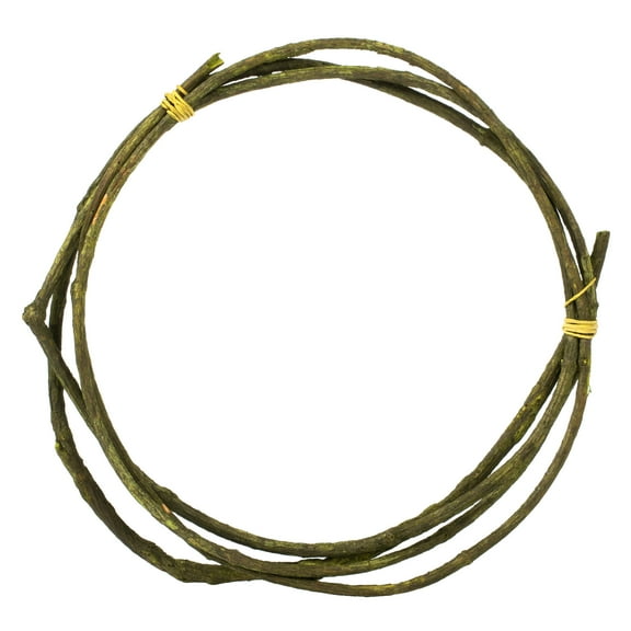 Vickerman 95-100" Basil Tranca Vine Coil, 1 coil, Dried