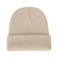 thumbnail image 1 of Men Women Solid Color Warm Woolen Knitted Cap Fluorescent Cuffed Beanie Hat, 1 of 10