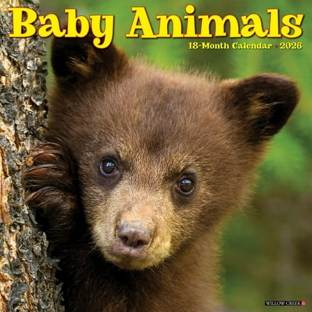 Willow Creek Press, Baby Animals 2026 Wall Calendar, 12'' X 12'', 18-Month Calendar with Stapled Binding