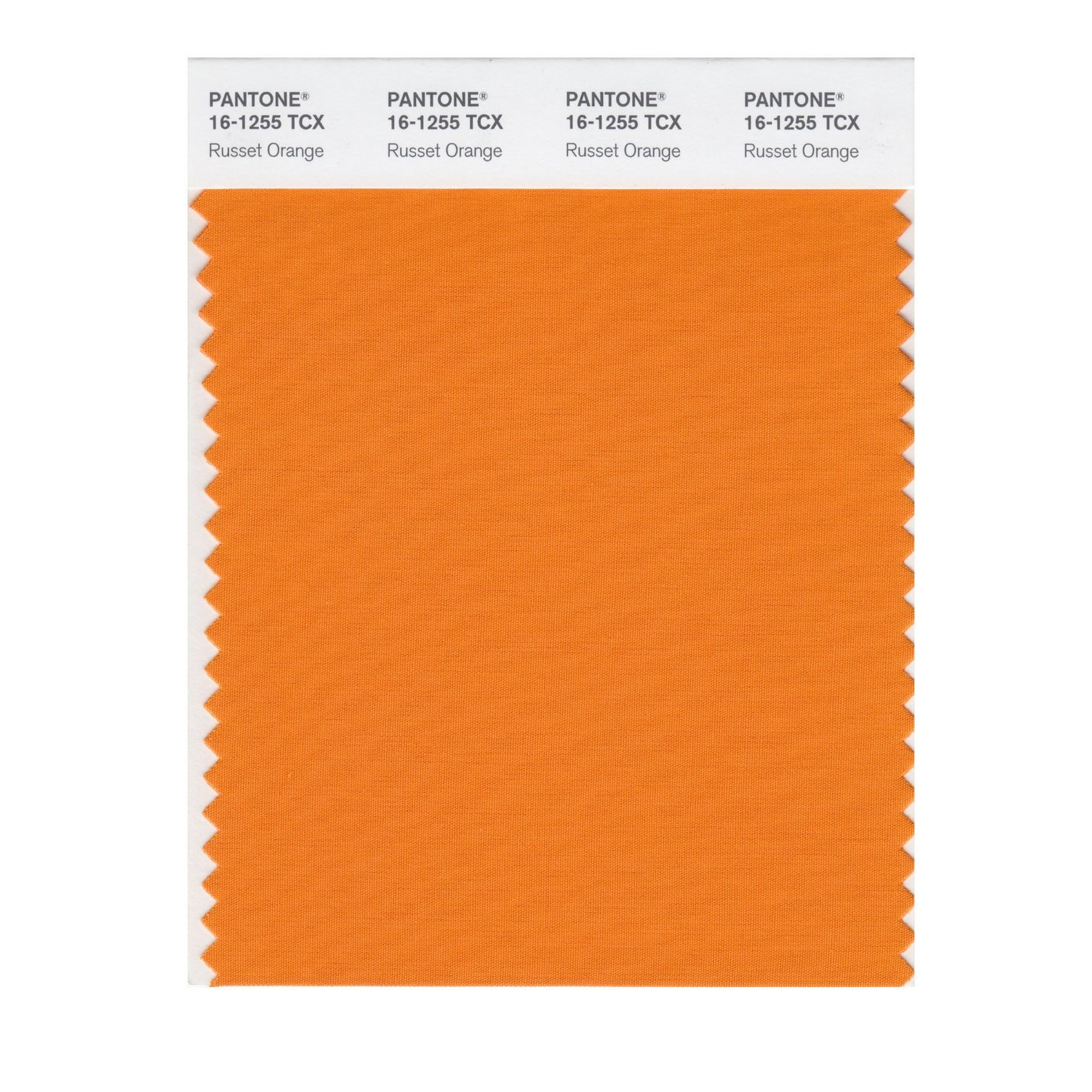 Rust Color Pantone