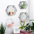 thumbnail image 6 of SPRING PARK Floating Shelves Wall Mounted Metal Wire Art Hexagon Shelves with Solid Wood Board for Plant Display, Storage Rack & Organiser, Home Decoration Wall Shelf, 6 of 7