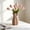 Pink, variant on Partheme Uniquely Shaped Ceramic Decorative Vase for Home Wedding Table Decoration, Modern Abstract Design Vase 8.07x4.52x4.52in, Dried Flower Holder Gift, Pink