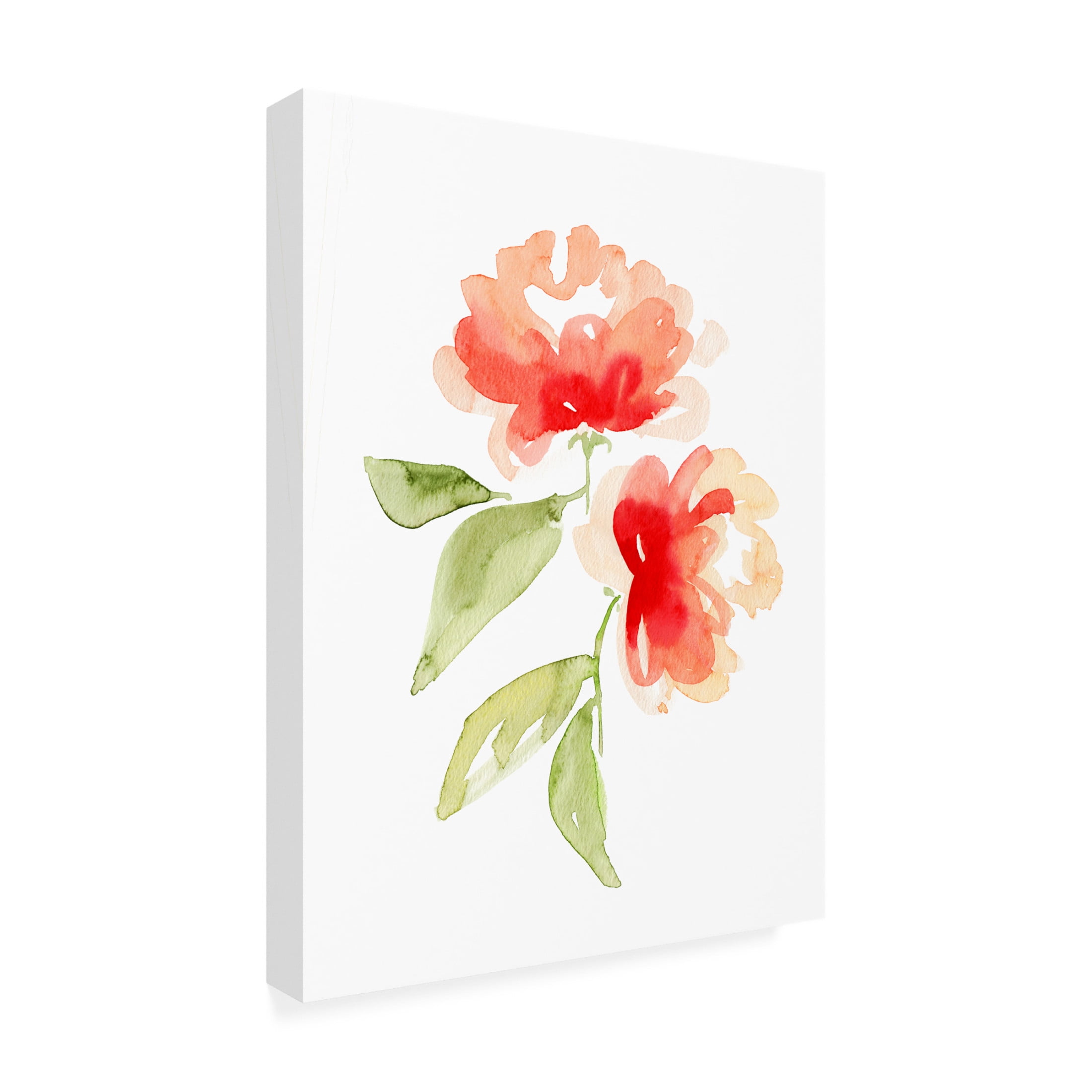 Trademark Fine Art Rosana Laiz Blursbyai Kailey coral Canvas Wall Art
