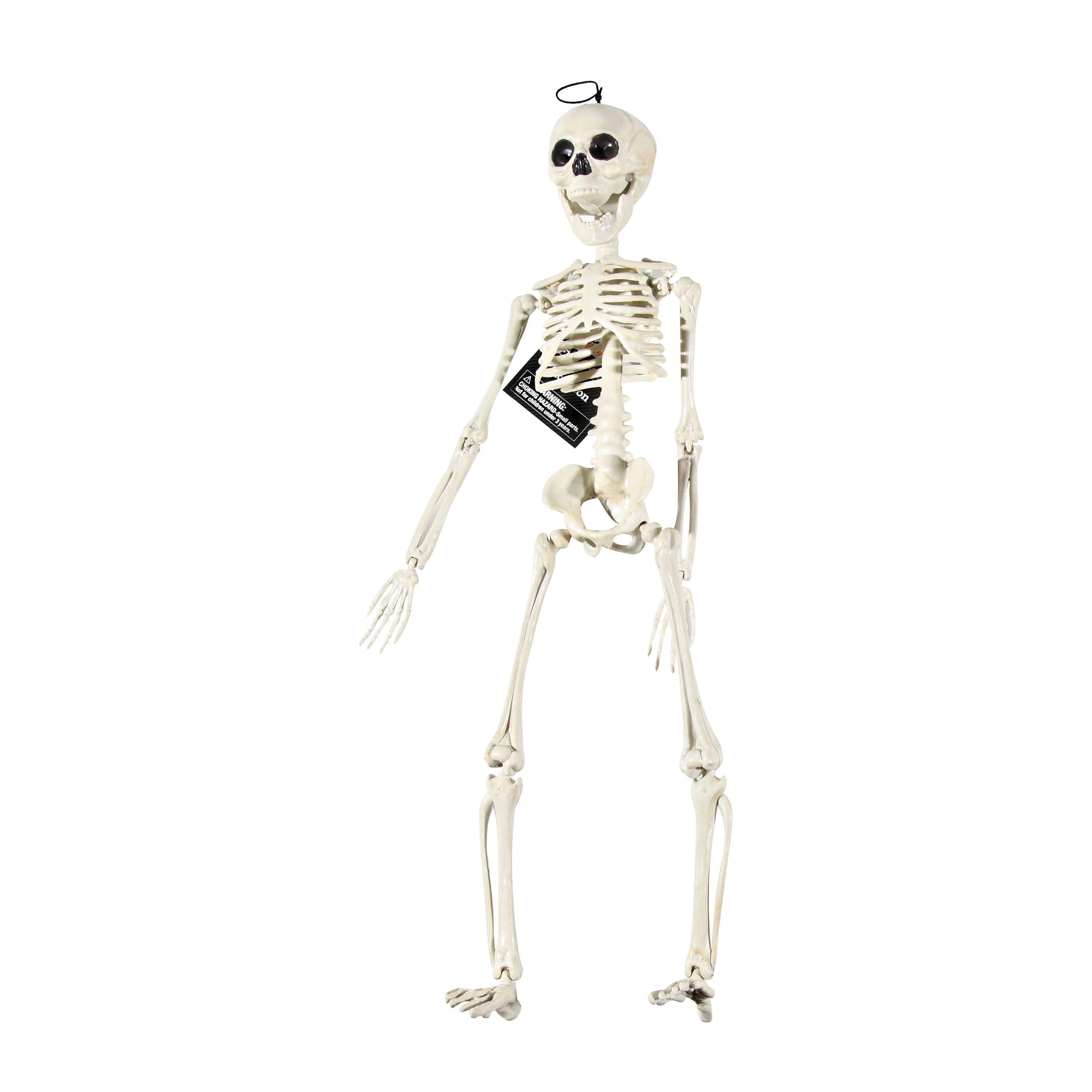 WAY TO CELEBRATE! Way To Celebrate Halloween 20-Inch Skeleton