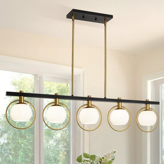 Modern 5-Light Adjustable Chandelier with Glass Shades Black Metal Frame Pendant Light Fixture Hanging Lighting for High Ceiling