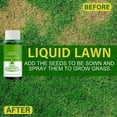 Seed Spray Liquid, grass seeds for lawn Liquid Seeding Grass Lawn