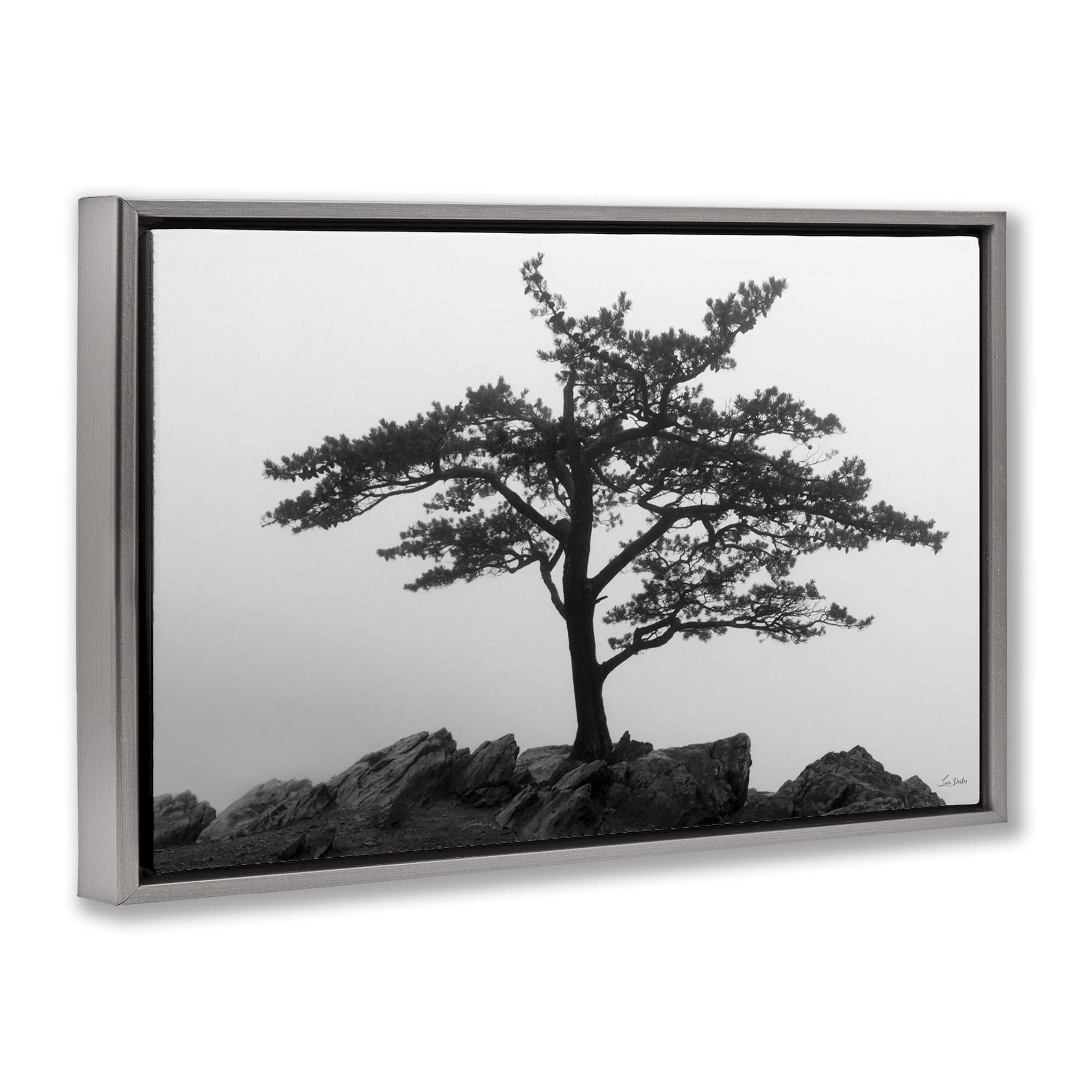 Stupell Industries Lone Tree on Rocks Landscape & Nature Photography Gray Floater Framed Canvas Art Print Wall Art, 25 x 17