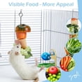 thumbnail image 2 of 2Pcs Rat Foraging Toys, 304 Stainless Steel Vegetable & Fruit Holder, Hanging Slow Feeder for Rats, Mice & Parakeets, 2 of 6
