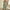 1# Army Green my orders placed, variant on Dyegold Short Jumpsuits For Women Summer Dressy Casual Sleeveless Boho Rompers Clothes Loose Spaghetti Strap Overalls Bibs