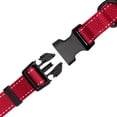 thumbnail image 4 of One Paw, Webbing Collar for Dogs, Multiple Colors and Sizes, 4 of 5