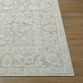 thumbnail image 2 of Livabliss x Nabela Noor Home Maan Printed Vintage Area Rug,5'3" x 7',Sky Blue, 2 of 10