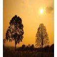 thumbnail image 3 of Ambesonne Nature Duvet Cover Set, Tree on Sunset Twilight, 2-Calking, Orange Brown, 3 of 7
