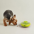 thumbnail image 1 of CHOK Interactive Dog Treat Dispenser & Puzzle Slow Feeder for IQ Training & Mental Stimulation  UFO, 1 of 8