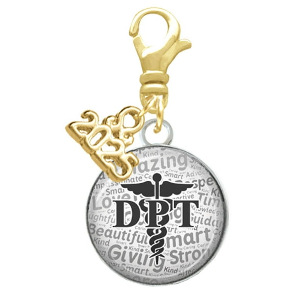 Delight Jewelry Silver-tone Domed Black DPT - Gold-tone Clip on Charm with Mini Year 2025