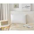 thumbnail image 1 of Royal Elite Firm Small White Feather Pillow, 1 of 5