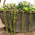 thumbnail image 2 of 3pcs Artificial Fake String of Pearls Plant Faux Fake Hanging Succulents Plants, 2 of 5