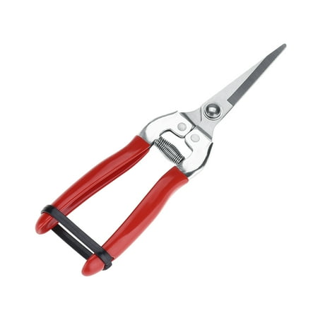 - Ashata 1Pc Sturdy Fruit Tree Bonsai Gardening Pruning Shear Garden Scissors Pruner Tool, Fruit Scissor, Fruit Tree Scissor