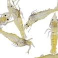 thumbnail image 2 of 10x señuelos realistas para gambas y gambas, lubina , mar, río, pesca, bacalao, cebo para salmón shamjiam Cebos de pesca, 2 of 5