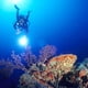 thumbnail image 4 of Toystoory Linterna DX4S 100M resistente al agua, duradera, antideslizante, Micro lámpara, luces fuertes, tiro largo, iluminación exterior, buceo Estufas de camping Toystoory OD029673-01, 4 of 6