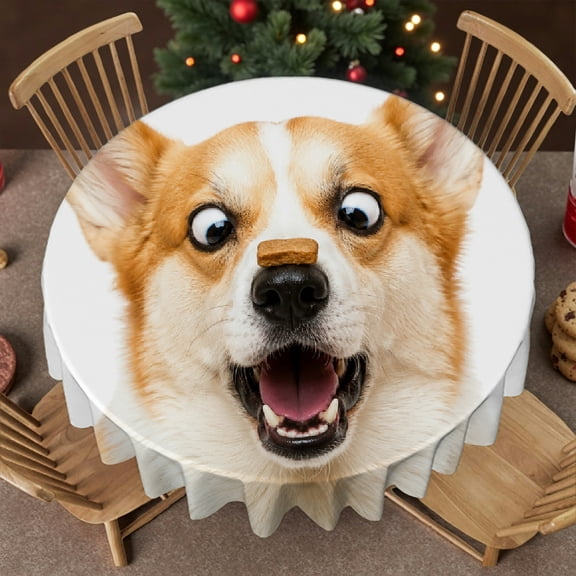 RKSupls 60 Inch Round Tablecloth - Surprised Corgi With Treat.png Print, Polyester Tablecloths 2D Flat Printing  Polyester Round Table Cover, Wedding, Party, Holiday, Home Dining