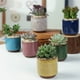 thumbnail image 5 of Injueey 6 piezas de cerámica Mini maceta para Cactus y suculentas Azul oscuro, 5 of 6