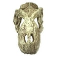 thumbnail image 2 of Komodo T-Rex Skull Reptile Hideout, Tan, 1 Each/Large, 2 of 3