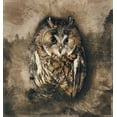 thumbnail image 2 of Bolokofsky, Ronald 15x16 Gold Ornate Wood Framed with Double Matting Museum Art Print Titled - Owl In the Wild, 2 of 4