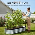 thumbnail image 6 of KING BIRD 6x3x1 ft Raised Garden Bed with Wall Trellis Galvanized Steel Metal Planter Garden Box Outdoor for Gardening Climbing Vegetables Flowers Silver, 6 of 8