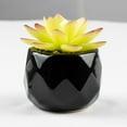 thumbnail image 2 of Artificial Succulent Plant Mini - Plastic Greenery Decoration Faux Potted Plant, 2 of 5