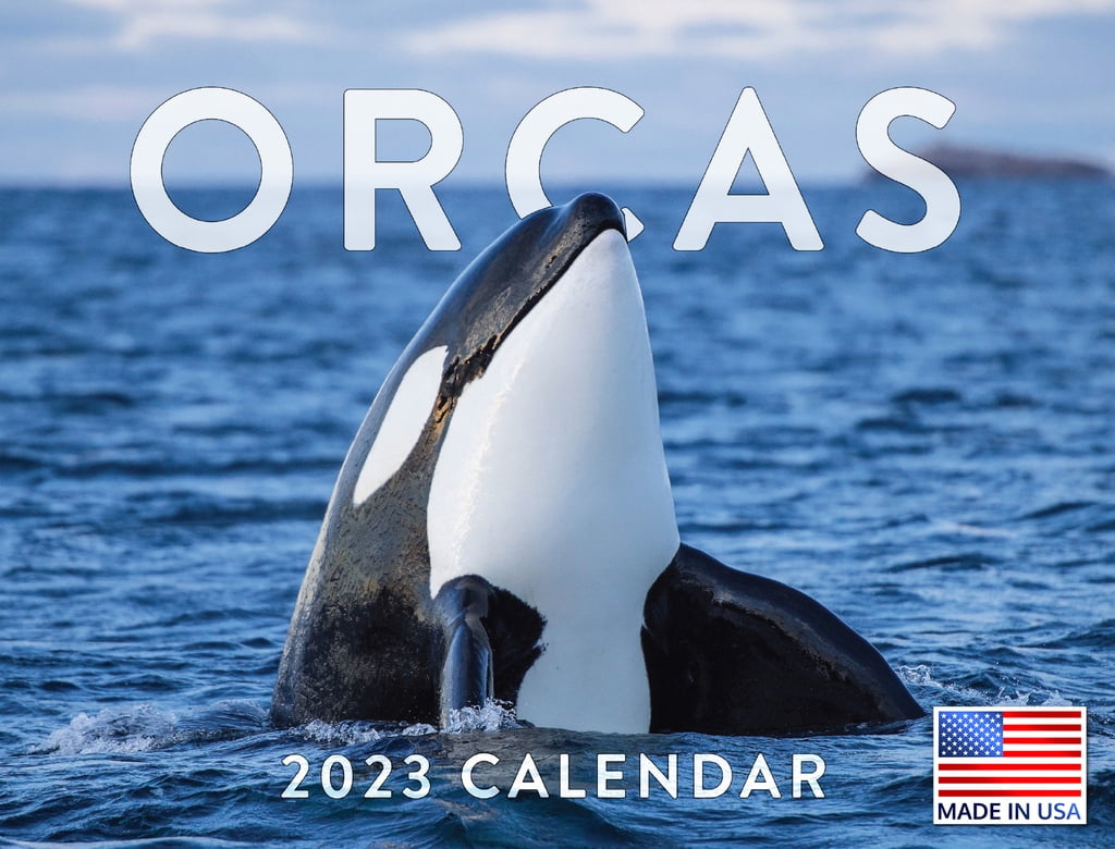 Orca Calendar 2023 Monthly Wall Hanging Calendars Killer Whale Ocean