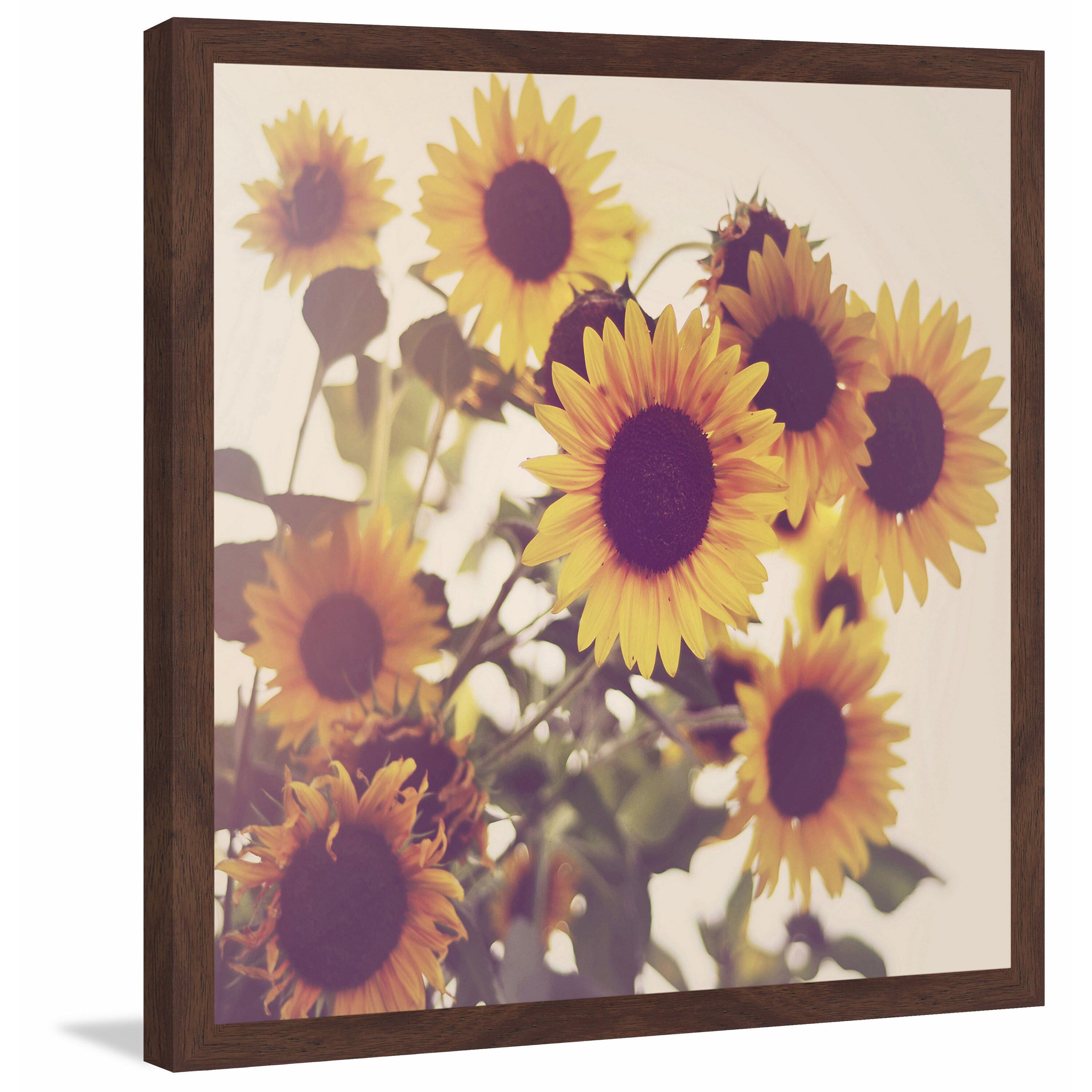 Marmont Hill "Sunflowers" Framed Painting Print